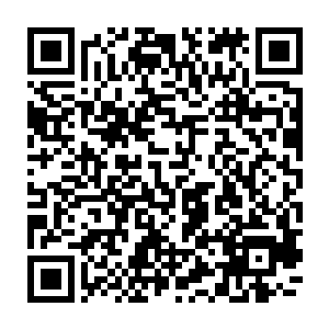 虽然说每次郡城四大家族外门弟子考核通过者都要前往府里进行第二轮考核二维码生成