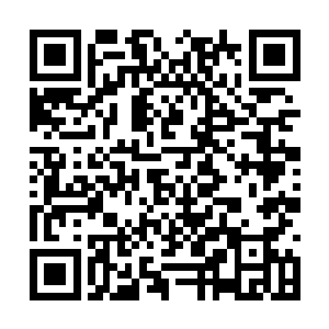 虽然说王世子对于现在世界的近况描述没什么问题二维码生成