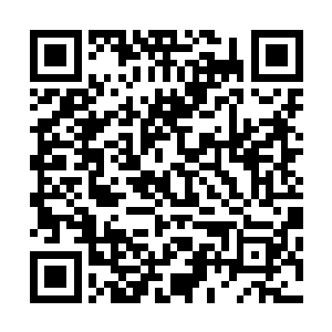 虽然说现在排名都快跌入降级区了……但瘦死的骆驼比马大二维码生成