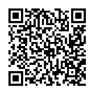 虽然说眼前的血衣青年身上的修为也就差不多只有封神境界二维码生成