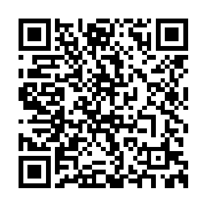 虽然说身为西陵镇南王他不必管大楚的人的死活二维码生成