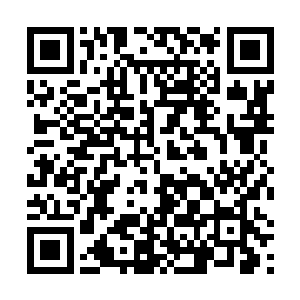 虽然说这修仙之法对身体得滋养对比血族之身弱了许多二维码生成