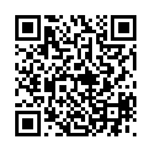 虽然说这看似只是为国家进口的一批武器二维码生成