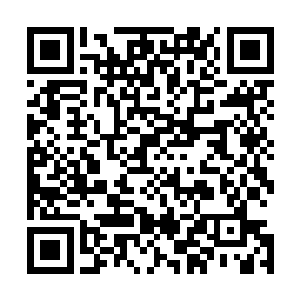 虽然说那些宗门的修炼功法可以从某种程度上削减这个弱点二维码生成
