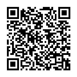 虽然说陆朝歌的父亲陆名图当初和江龙潭合伙创造了龙图集团二维码生成