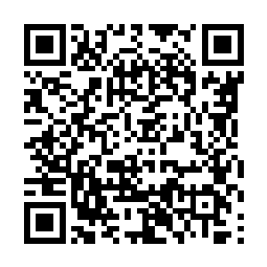 虽然说龙傲天已经刻意将自己的战斗力压制了无数倍二维码生成