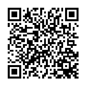 虽然说龙傲天已经想到了阵元子的身份肯定十分的不简单二维码生成