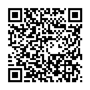 虽然跟梓箐接触的越多越了解对的秉性和为人安之若素二维码生成