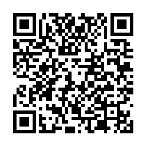 虽然这个小世界不可能像迷失幻域这般神奇和广大二维码生成