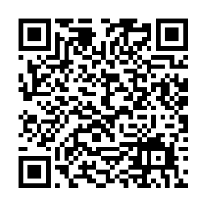 虽然这些学生害怕秦洛和他身边的孙仁耀贺阳这两人二维码生成