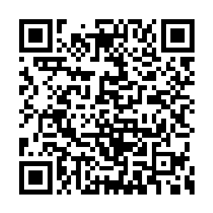 虽然这玩意儿比起一般的妖怪坐骑都要逊色不少二维码生成