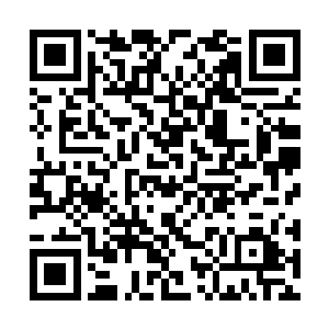 虽然这里之前被黑色巨蟒的毒液腐蚀了一大片地方二维码生成