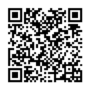 虽然那个空间神器就隐藏在江少游左手的掌心之中二维码生成