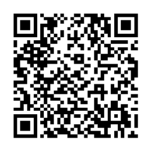 虽然那些偷袭者和食尸鹫的尸体已经被抬出去处理了二维码生成