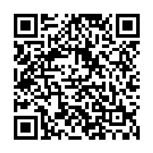 虽然那会儿她还没成年……但也知道作为一个老板而言二维码生成