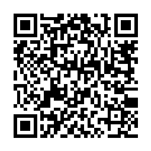 虽然那四十万至今有三十五万是被李爸管制着不能花二维码生成