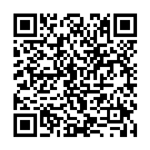 虽然针织二厂医院那块土地的确是和你签了转让合同二维码生成