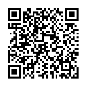 虽然陈丽红猜到了王家山背后嘀嘀咕咕的和丁长生再说什么二维码生成