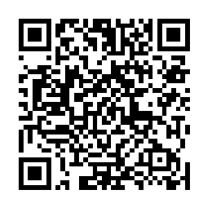 虽然陈杰翊说白记生意萧条是因为白蔹那小子背后使手段二维码生成