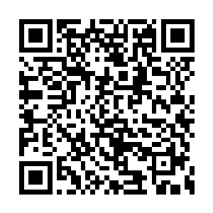 虽然雨果已经融合了自己和兰开斯特的所有记忆二维码生成