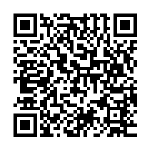 虽然青级初期六品的元力不足以将这招雏形的剑式完全释放出来二维码生成