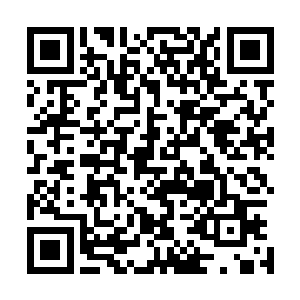 虽然青莲级别的修士在宗门内压根就没办法得到十颗愿力珠二维码生成