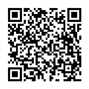 虽然鬼王大军在正常的情况下很少能够对危天造成伤害二维码生成
