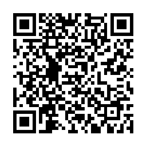 虽说上次他躲藏在自己的洞府中依稀看到一些场景二维码生成