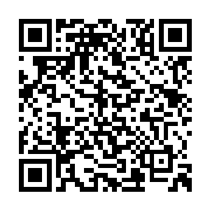 虽说她和鸾儿的命运早在141章唱的曲子便注定了二维码生成