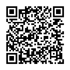 虽说开大龙有点儿冒险但也不是没有拿下的希望二维码生成