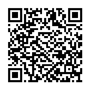 虽说是和蒂尔席丽斯两个人一起把斯卡拉干掉的二维码生成