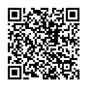 虽说眼前的这个小队中的四人皆是大罗金神巅峰境界的强者二维码生成