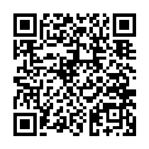 虽说眼前的这个布衣护卫看着着实不跟神仙八竿子搭不上干系二维码生成