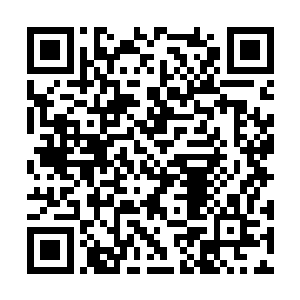 虽说观众们向来就百无忌禁喜欢调侃和开主播玩笑二维码生成