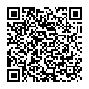 虽说贝海这一行人每个人的腿上都被岛上热情的蚊子给照顾的不轻二维码生成