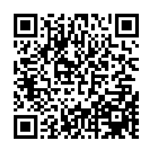 虽说这些年王美兰除了借着她外甥女的身份钓了不少金龟婿二维码生成