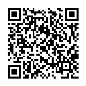 虽说陈诚等人最终也拼死换掉了对面的老鼠和酒桶二维码生成