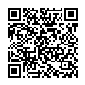 蚕茧连自己账号上的保底月票都无节艹的投给自己了二维码生成