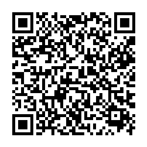 蛇女巫体内自动触发的法力铠甲在皇冠狮鹫的双爪面前显得如此无力二维码生成