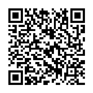 蛇爷的头盖骨里面应该也充满了脑电波的熊熊烈焰二维码生成