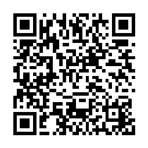 蛋圆圆一辈子都没想过能够见识这么厉害的人物二维码生成