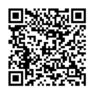 蛋圆圆偏着脑袋看向取餐处散发着诱人香味的食物二维码生成