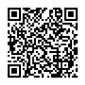 蛋圆圆想到天元下一任校长也就是机战最高领导的邢战二维码生成