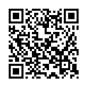 蛋圆圆想起她从灵丛那里拿来的虫类收购表二维码生成