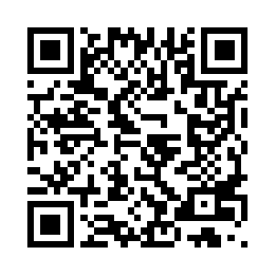 蛋圆圆把升级前的备份扔给星瞳看二维码生成