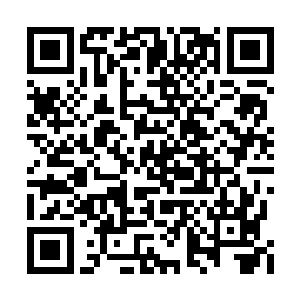 蛋圆圆早就看到了唐峥和冰蓝色机甲机主的互动二维码生成