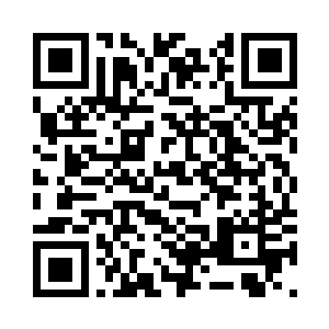 蛋圆圆本打算起身去找纪古他们几个二维码生成