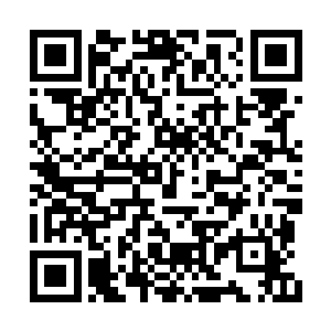 蛋圆圆没忘记景初曾经说过有人在寻找蛋族的王二维码生成