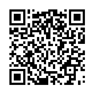 蛋圆圆选择了五级入门赛排行榜第一的战队二维码生成