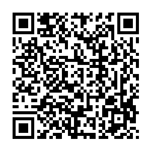 蛋蛋看了一眼那些坐在坐位上拿着书本摇头晃脑嘴巴不停念叨的小孩二维码生成